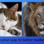Sleep Your Way to Better Leadership